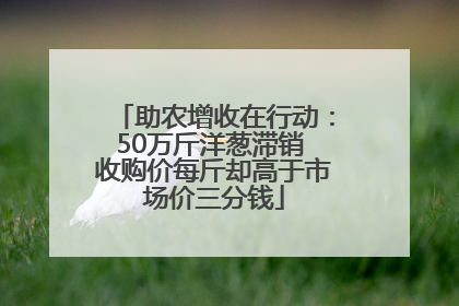 助农增收在行动：50万斤洋葱滞销 收购价每斤却高于市场价三分钱